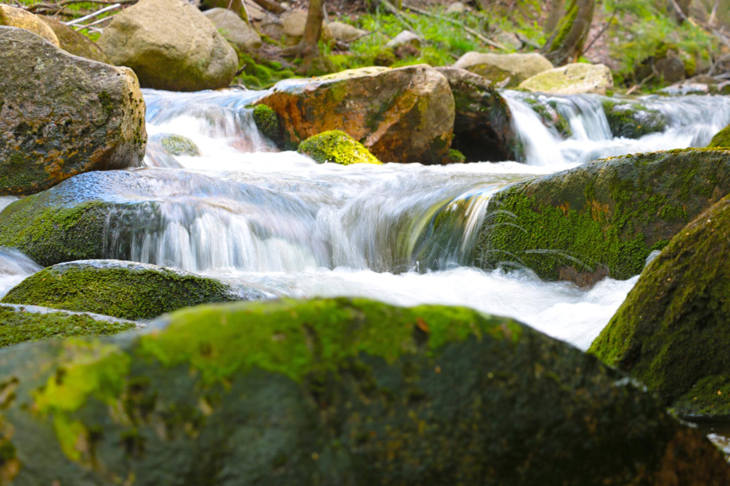 natural spring water