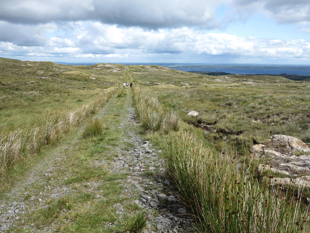 ancient track path