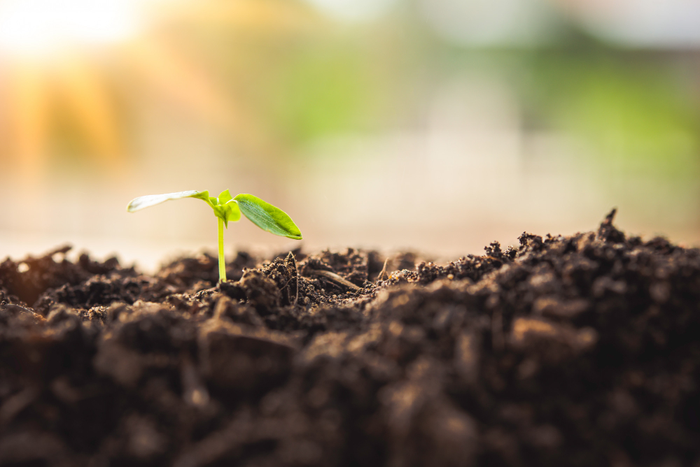 Soil