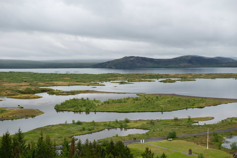 wetland
