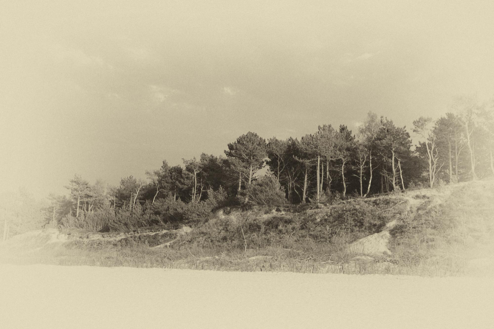 faded old photographs