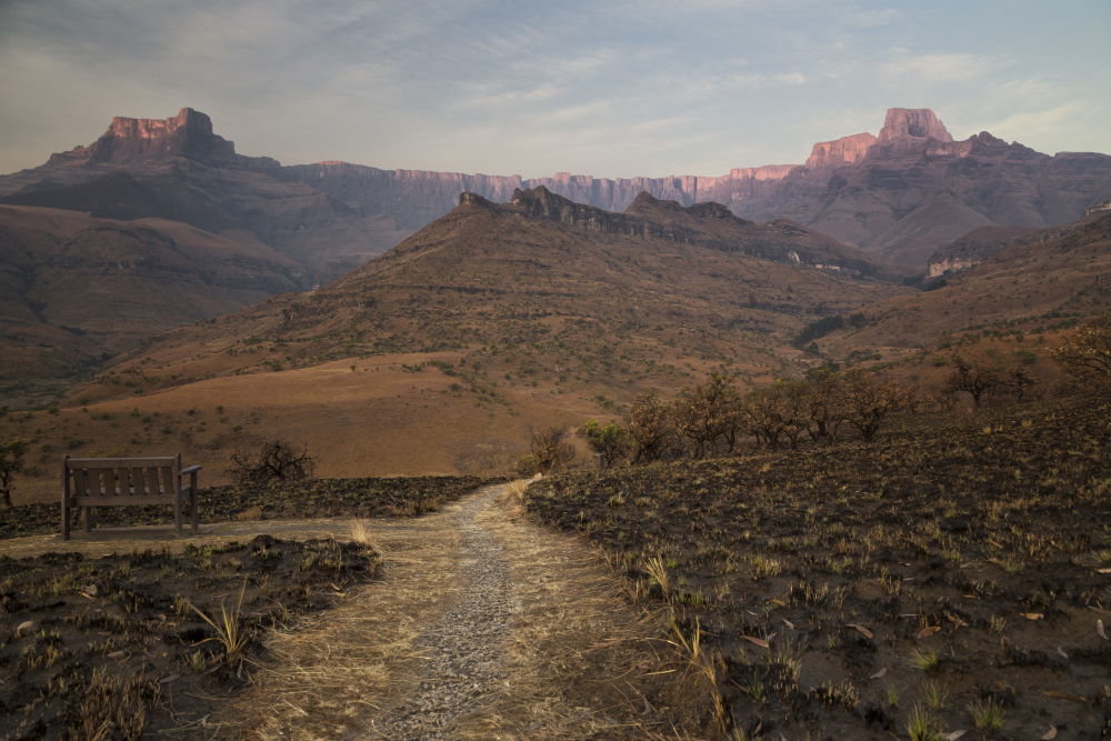 ancient track path