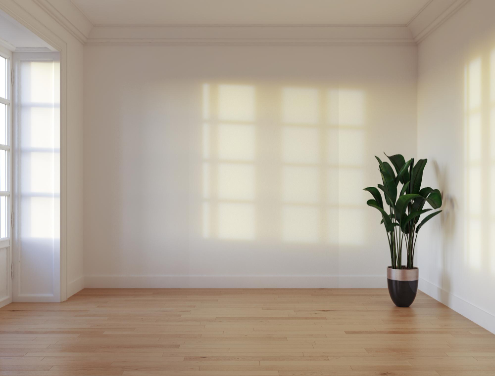 Empty Room
