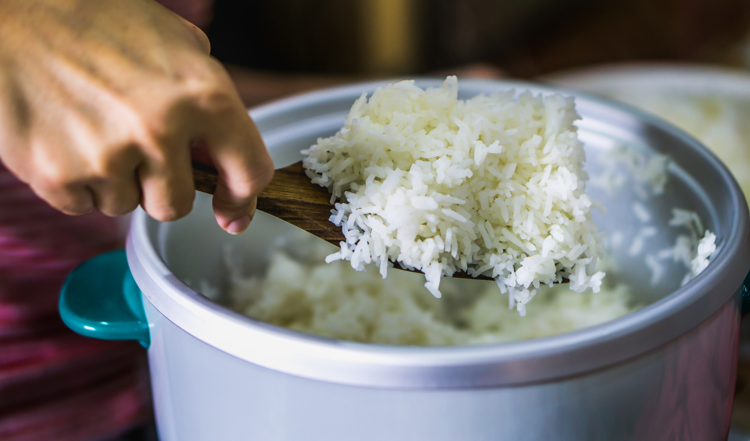 Rice