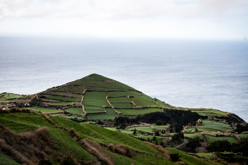 terraced hillside
