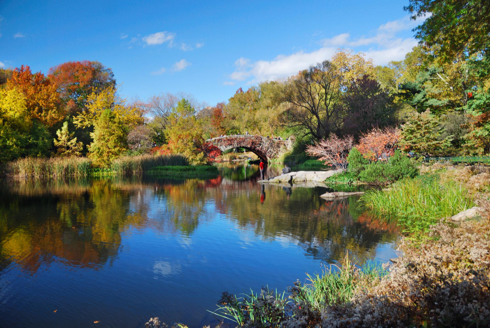 Pond