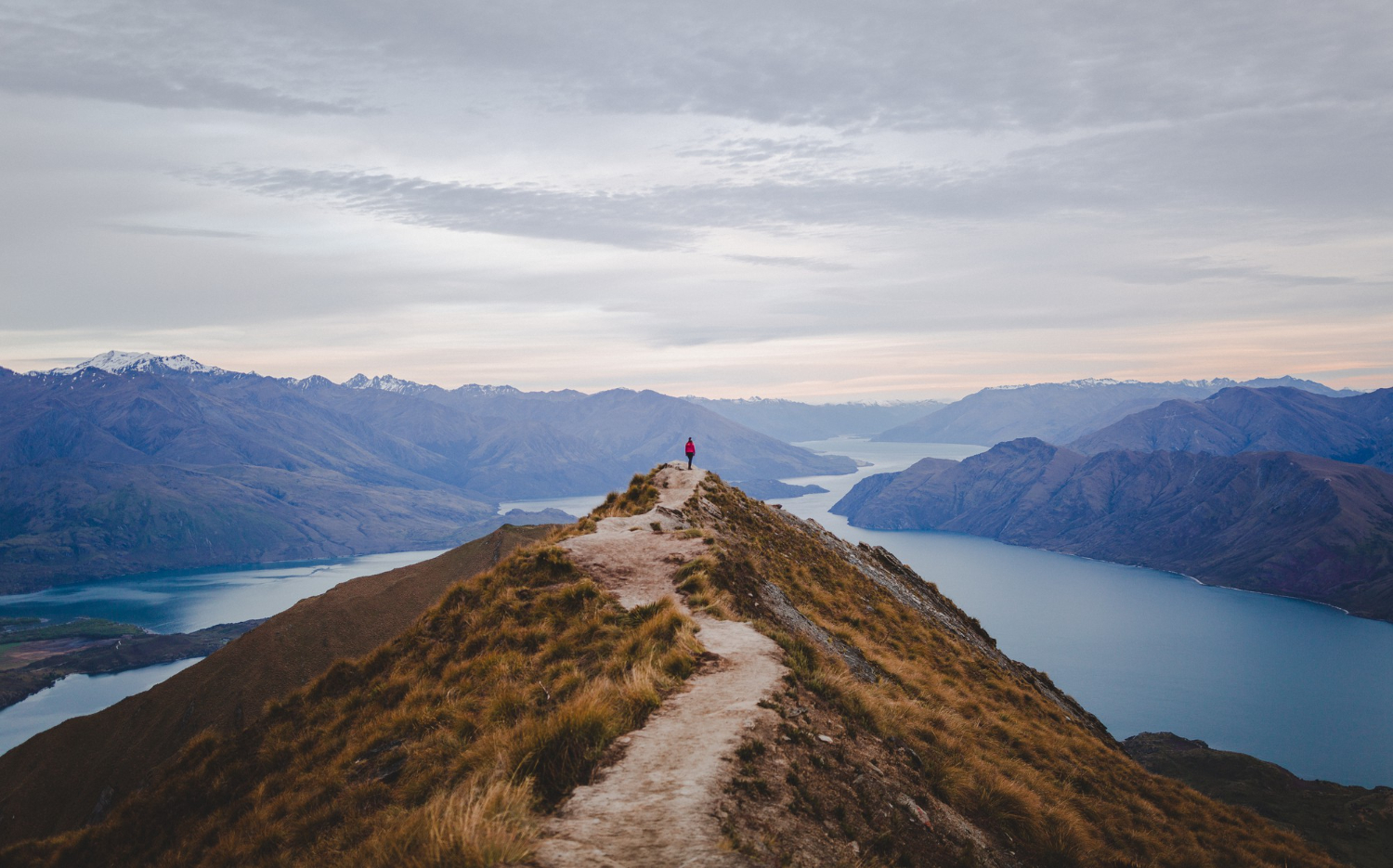 VIewpoint