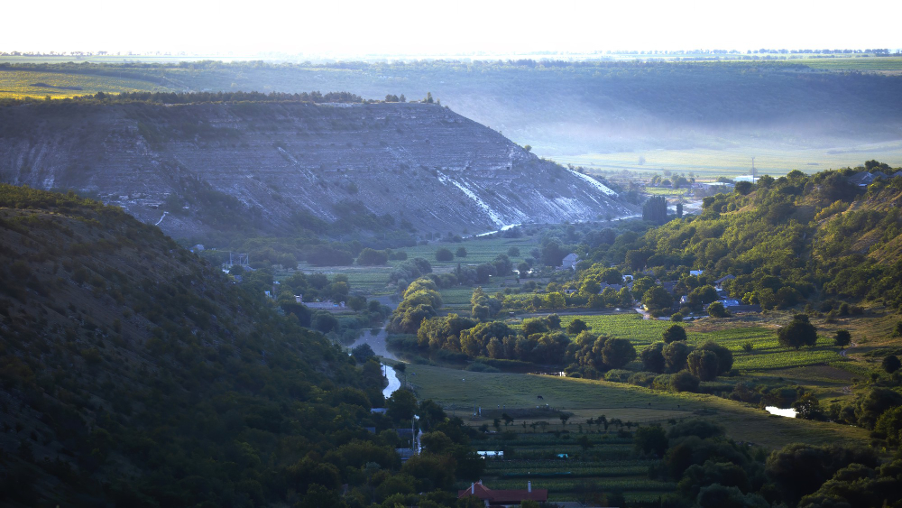 Downland