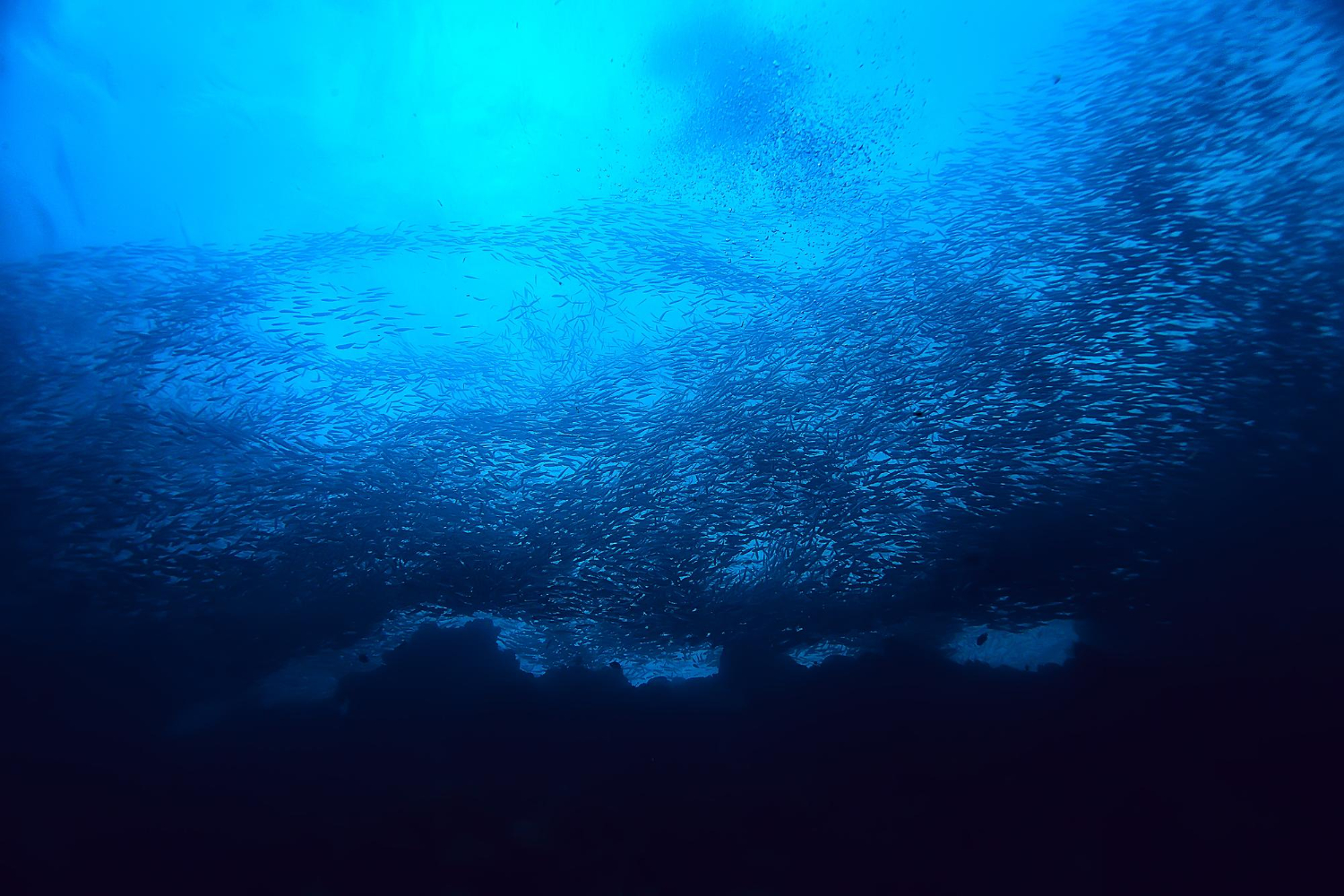 deep blue ocean