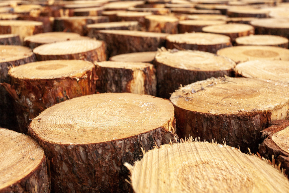 Wood