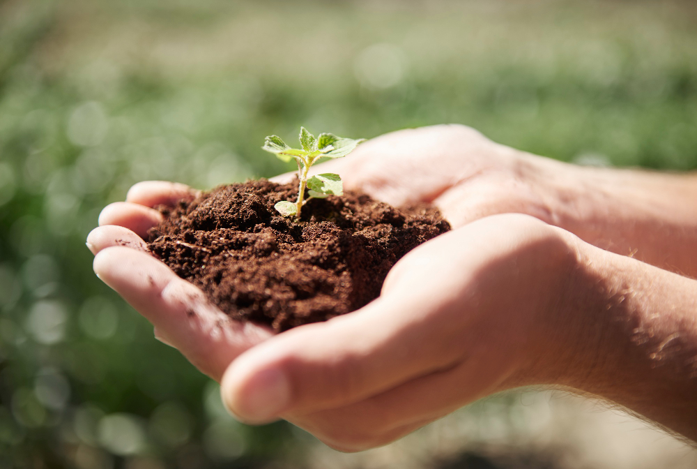 Soil