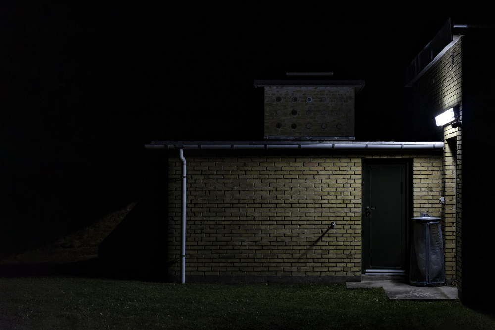 garden at night