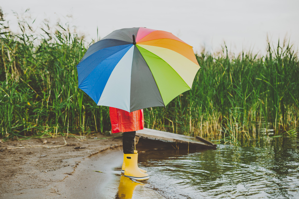 umbrella