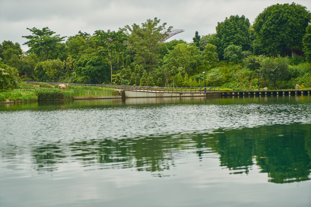 Pond