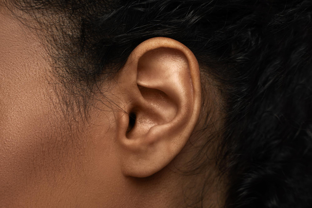 human ear