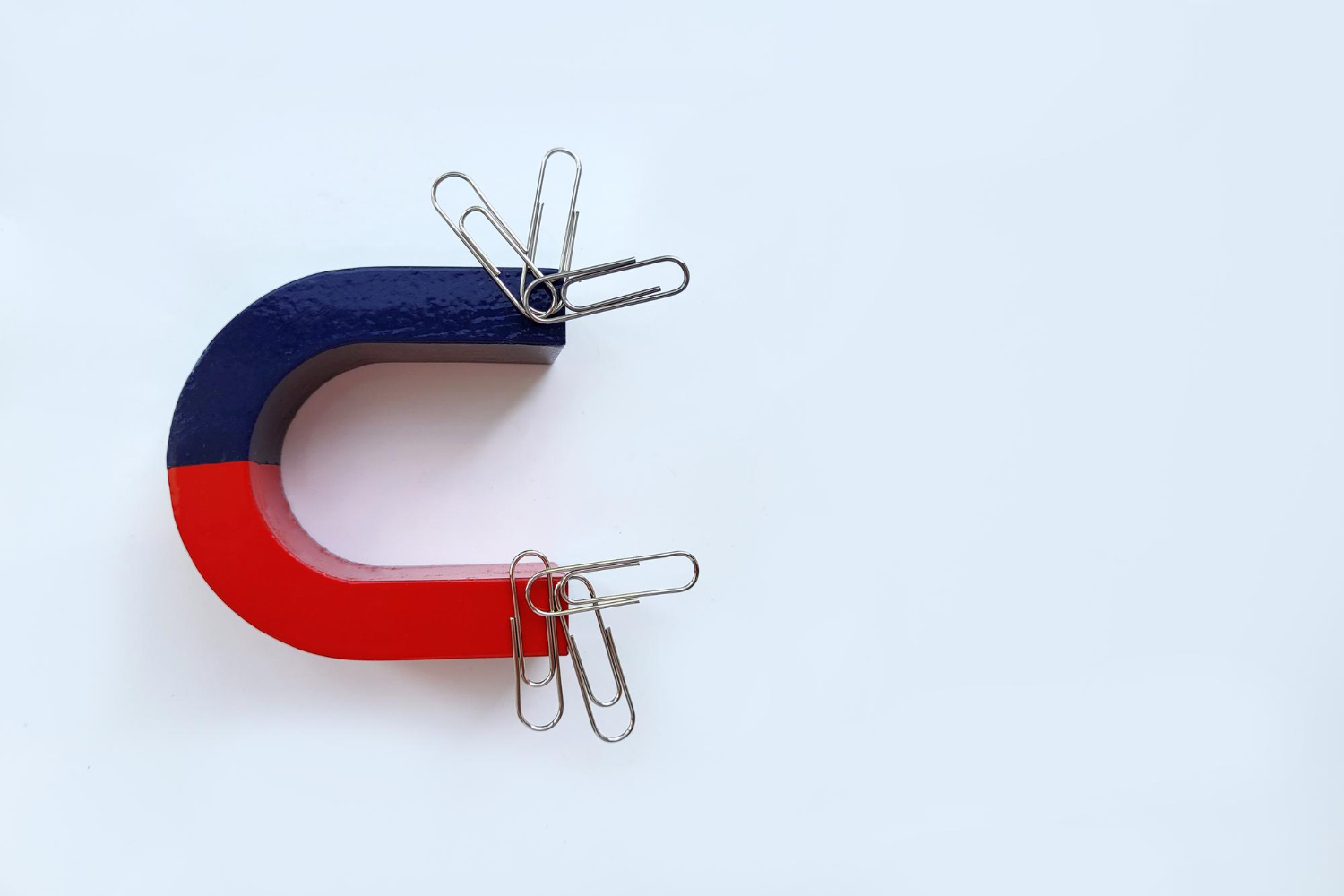 magnet