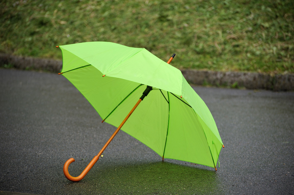 umbrella