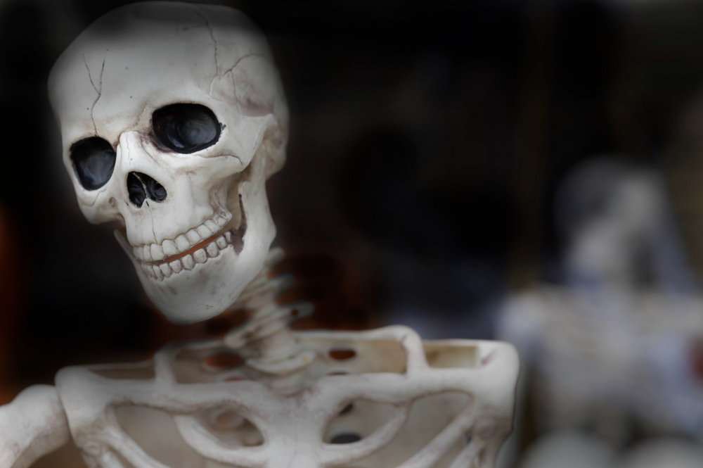 Skeleton