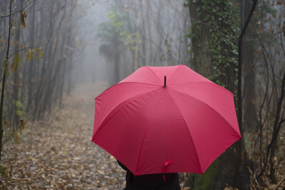 umbrella