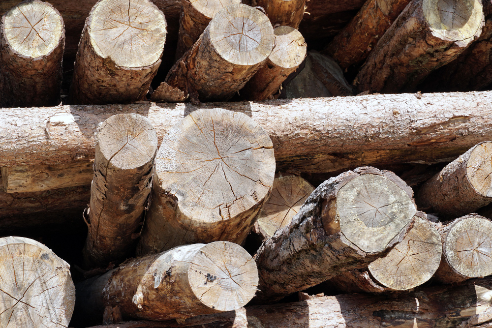 Wood