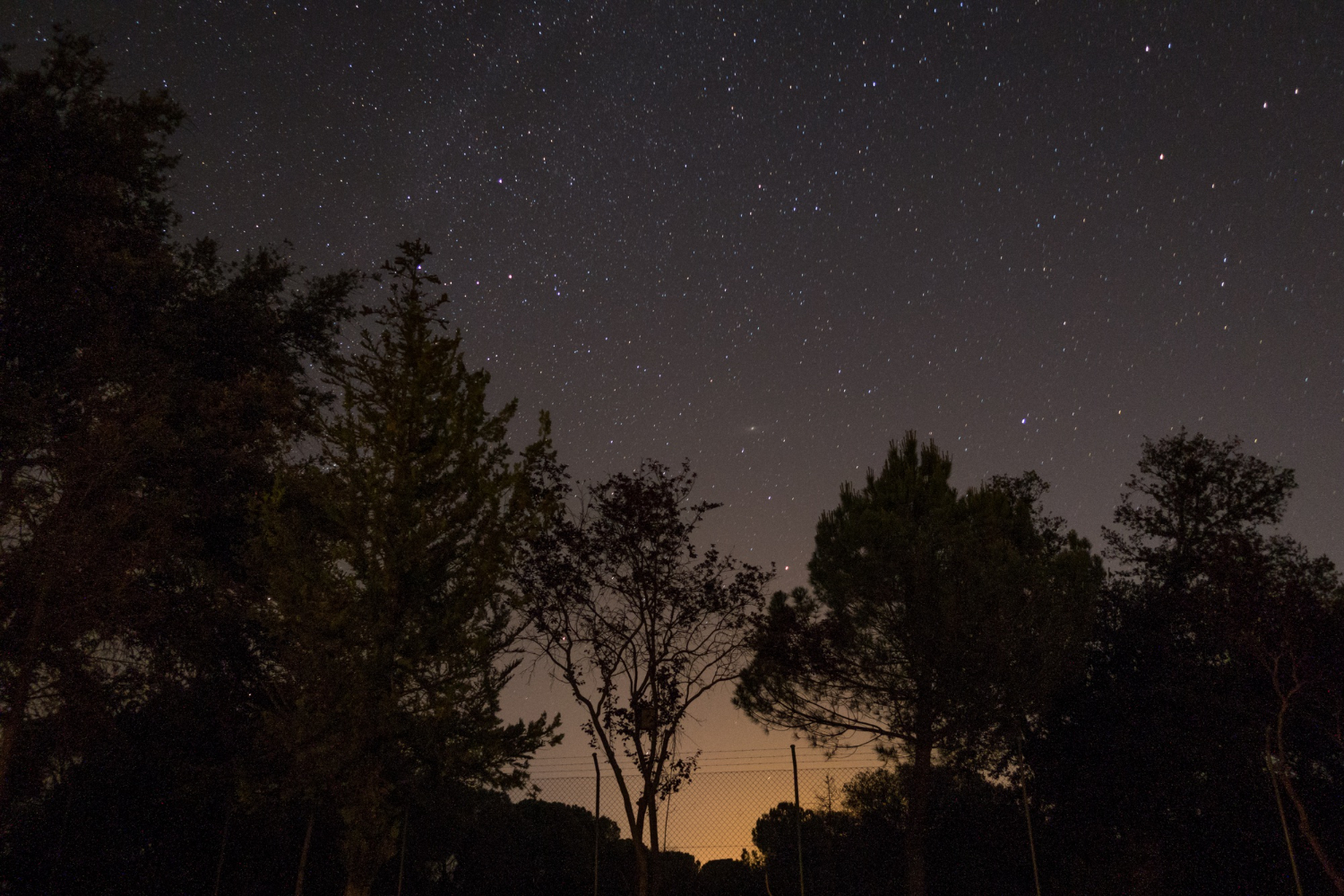 night sky stars