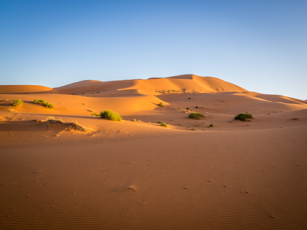 sand dunes