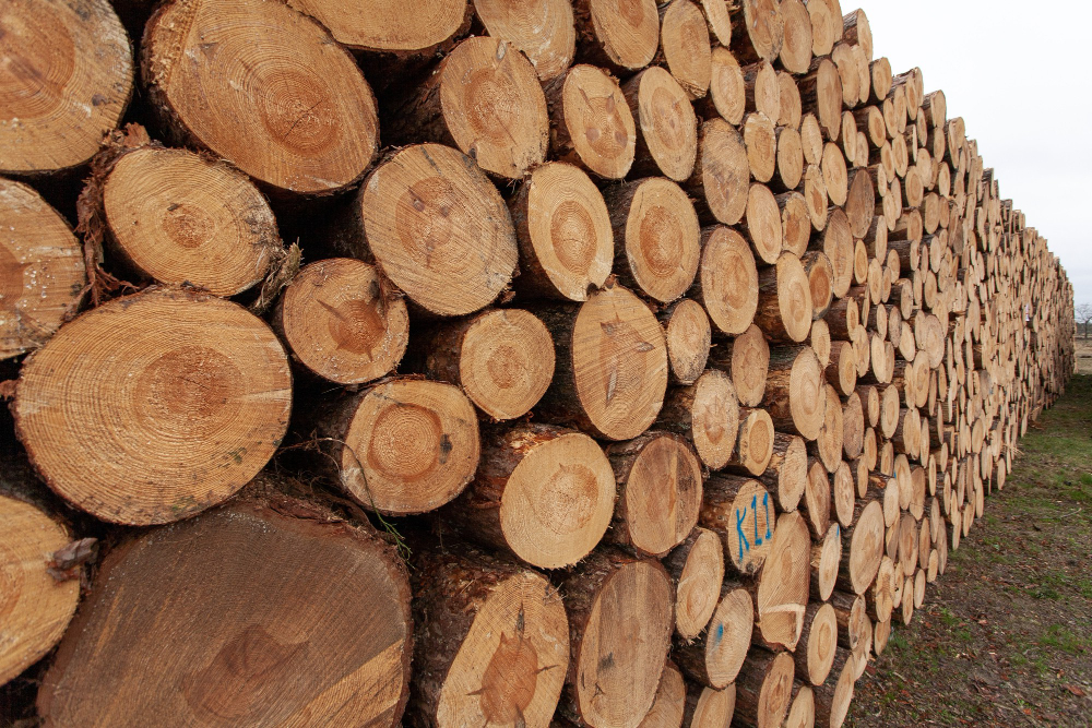 Wood