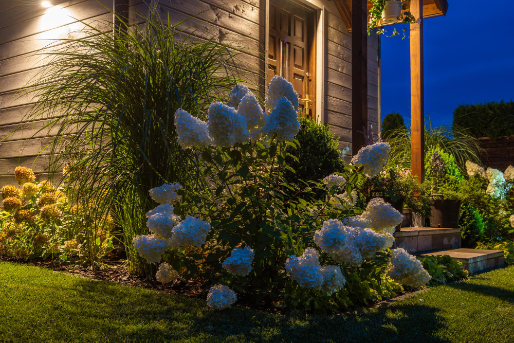 garden at night