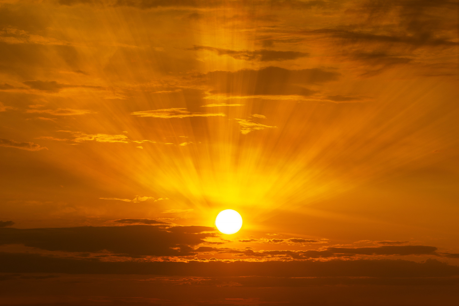 Sun