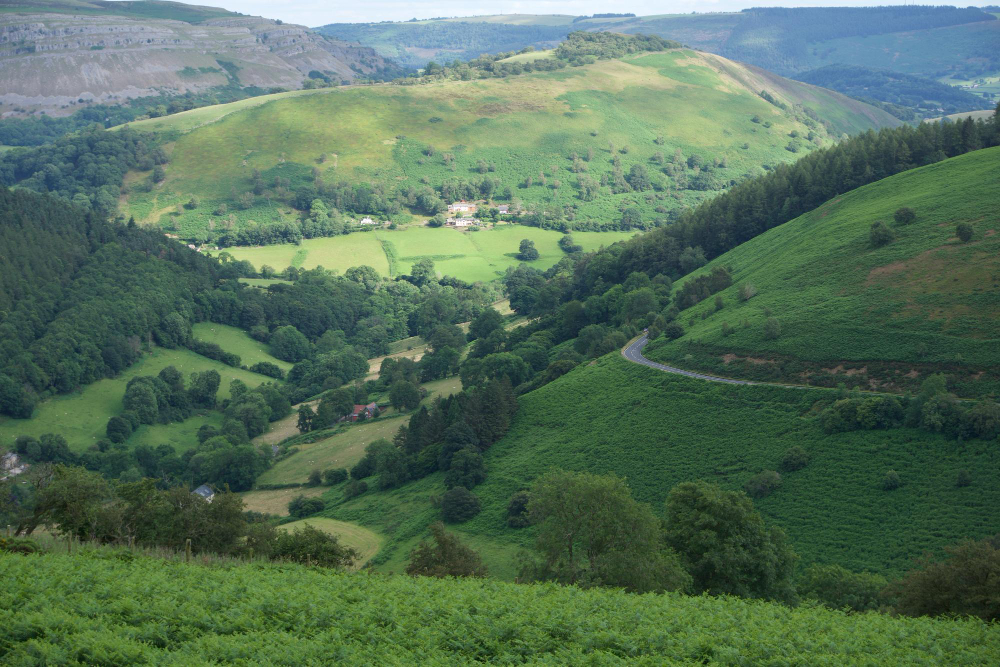 Downland