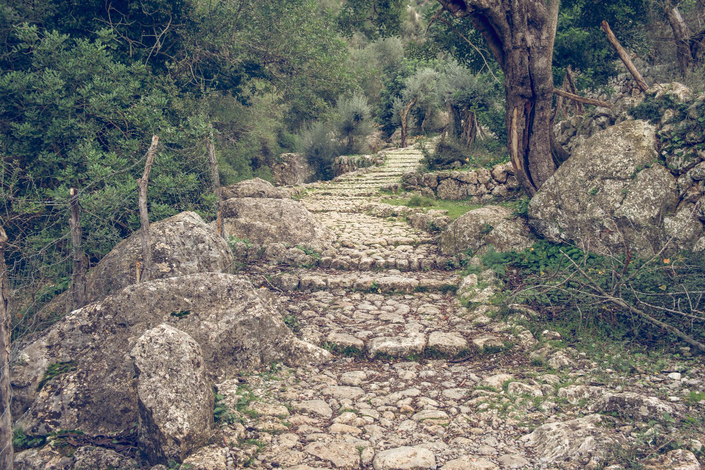 ancient track path