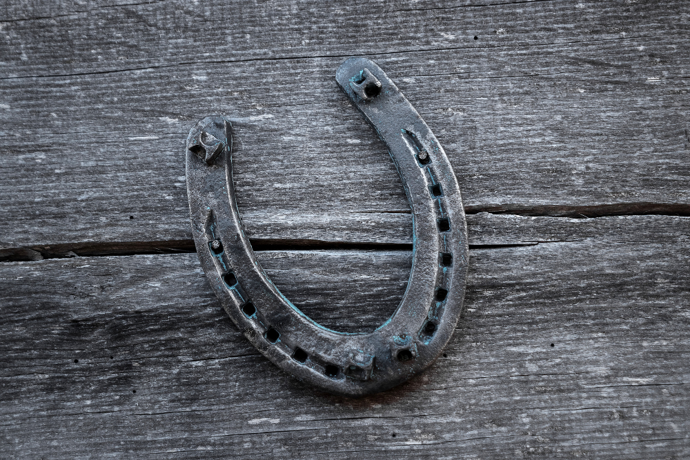 horseshoe