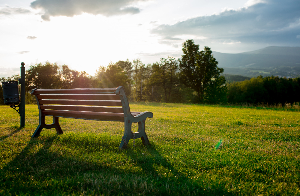 public park bench