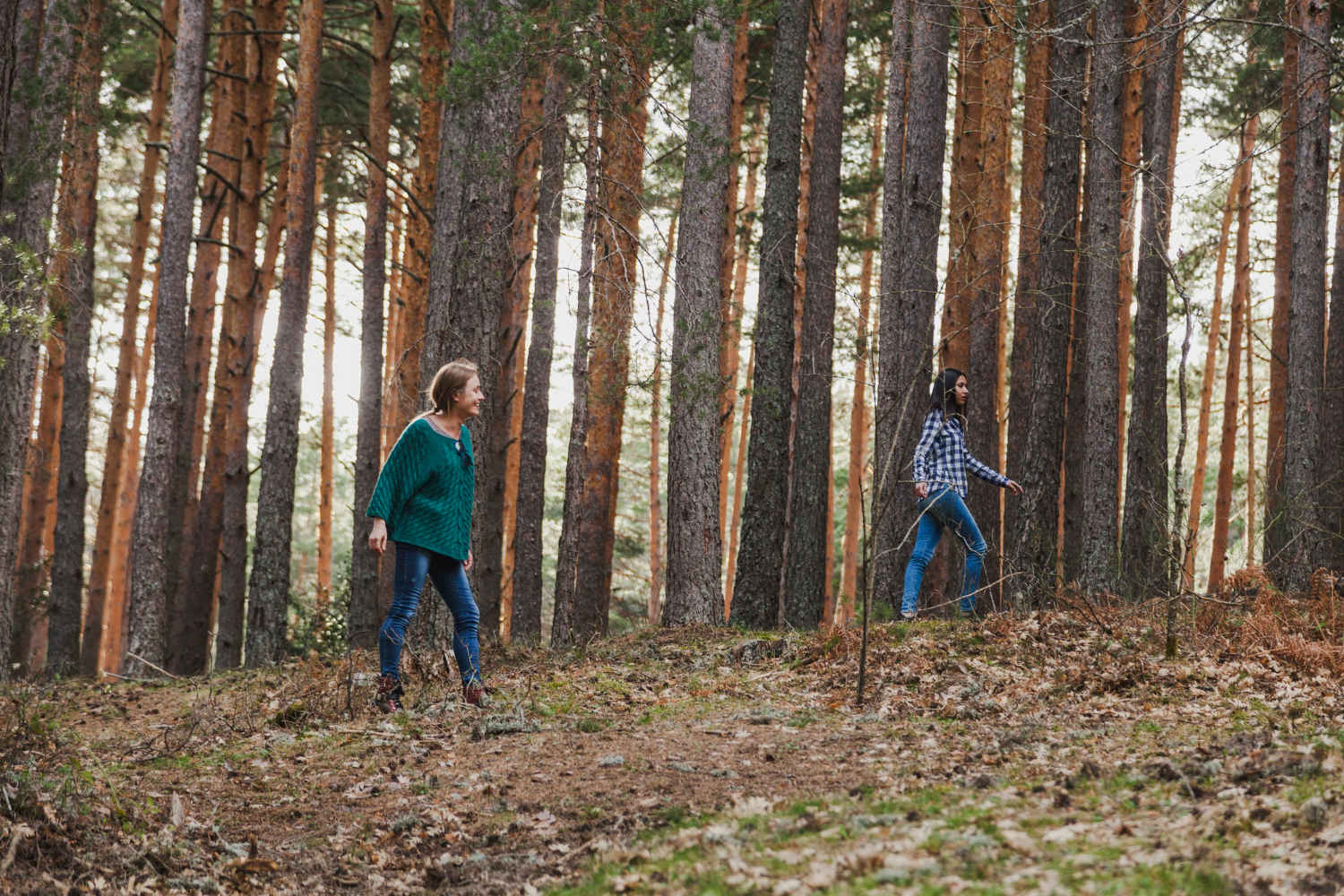 woodland