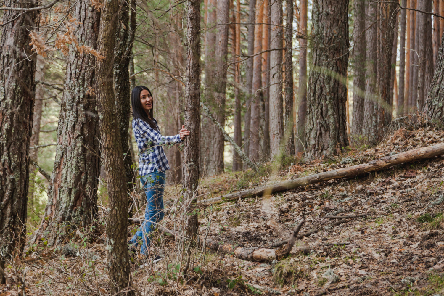 woodland
