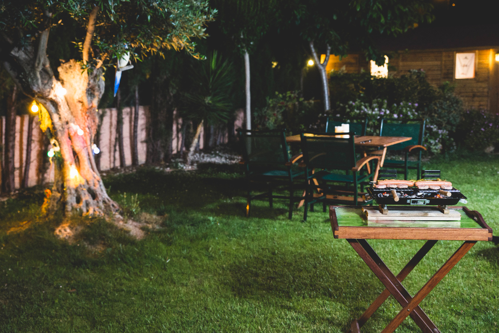 garden at night