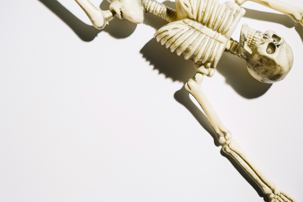 Skeleton
