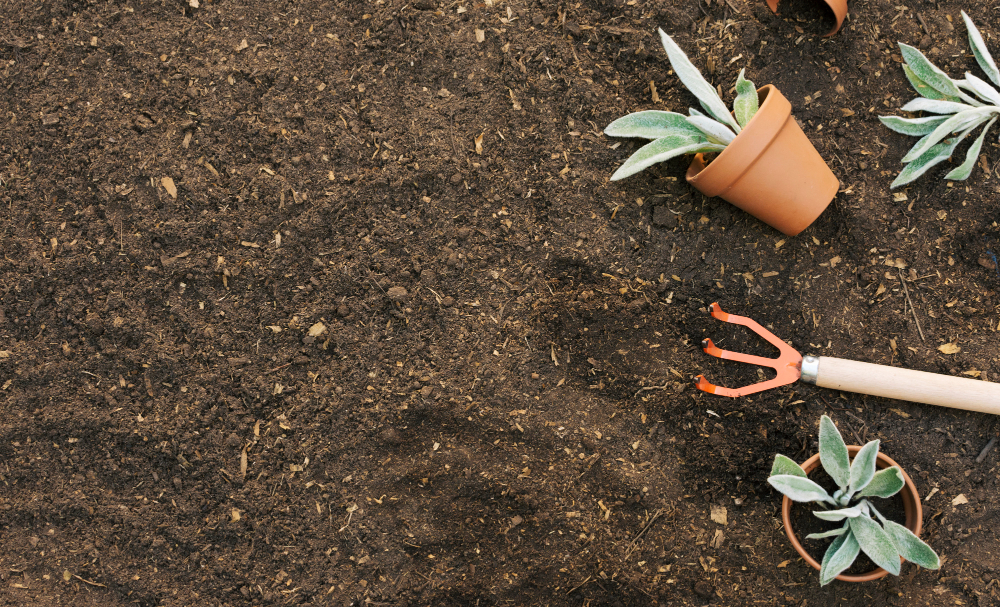 Soil