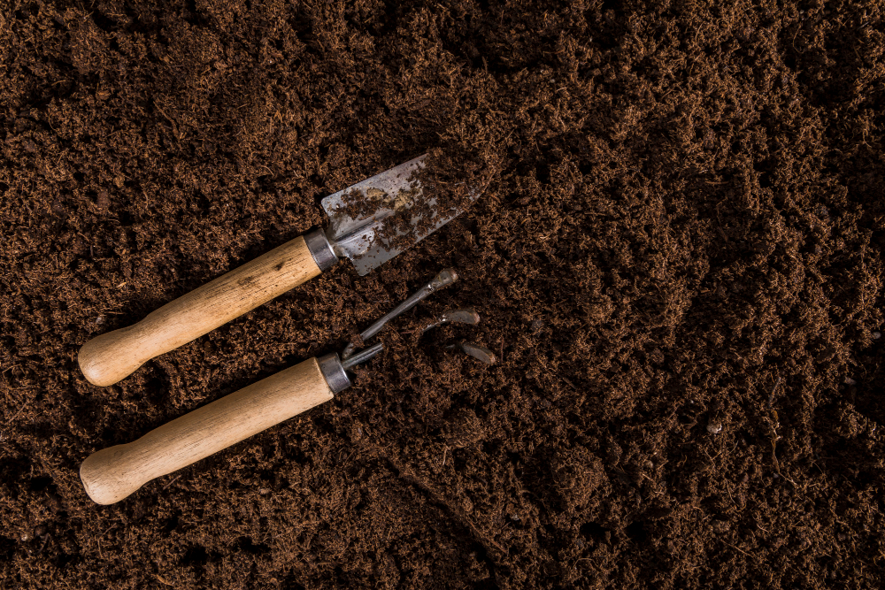 Soil