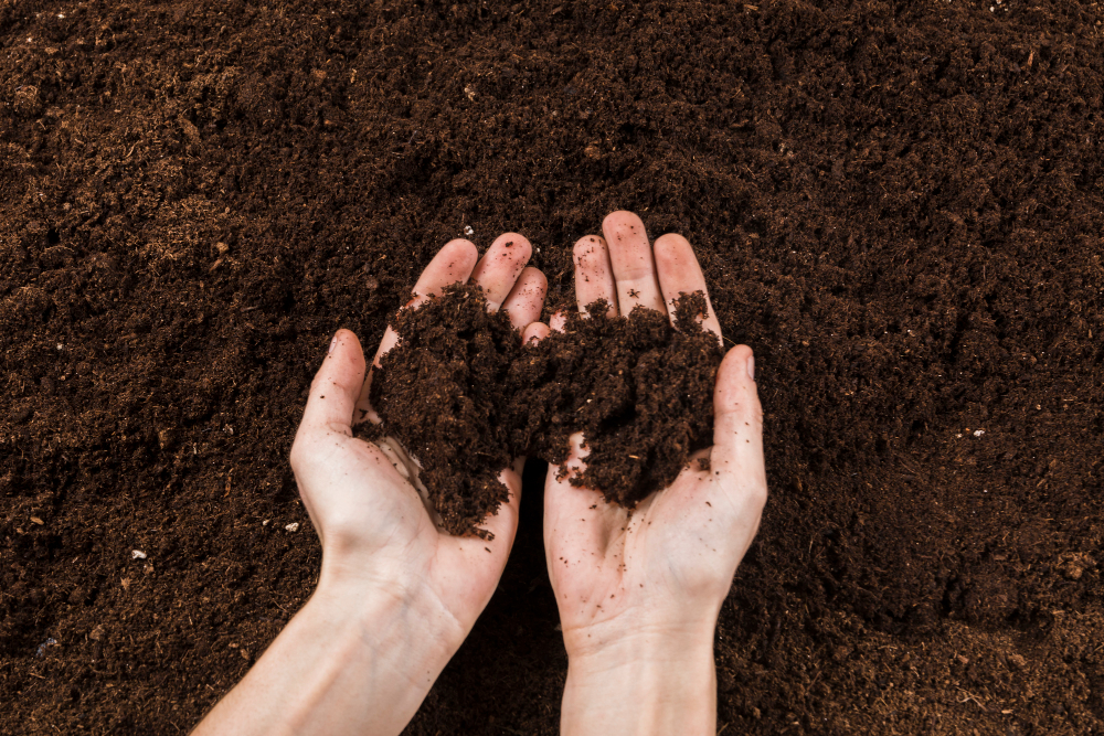 Soil