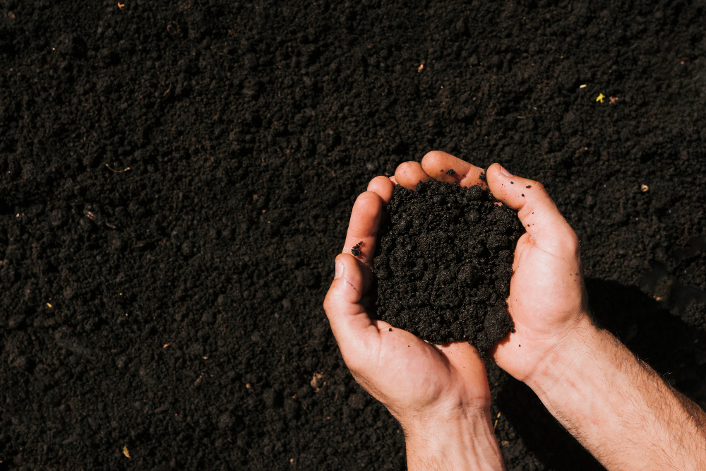 Soil