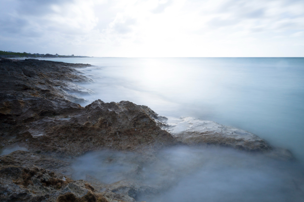 foggy coast