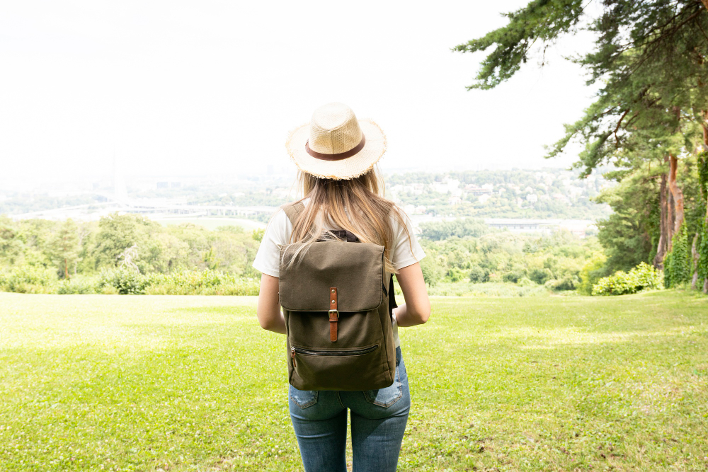 Traveler