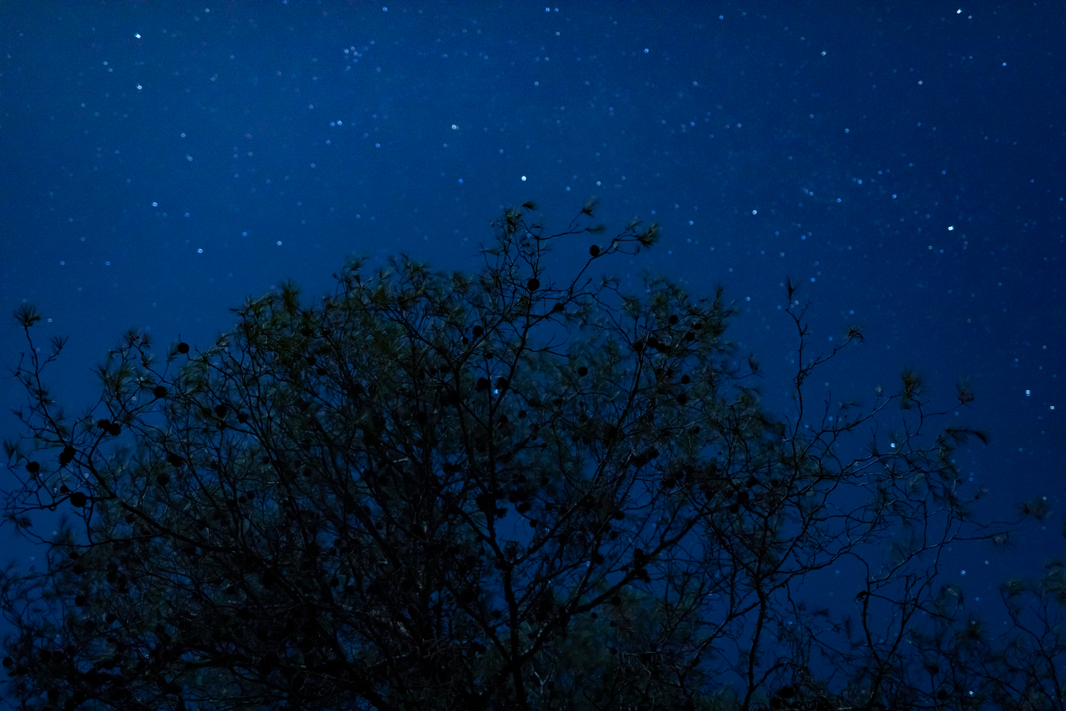 night sky stars