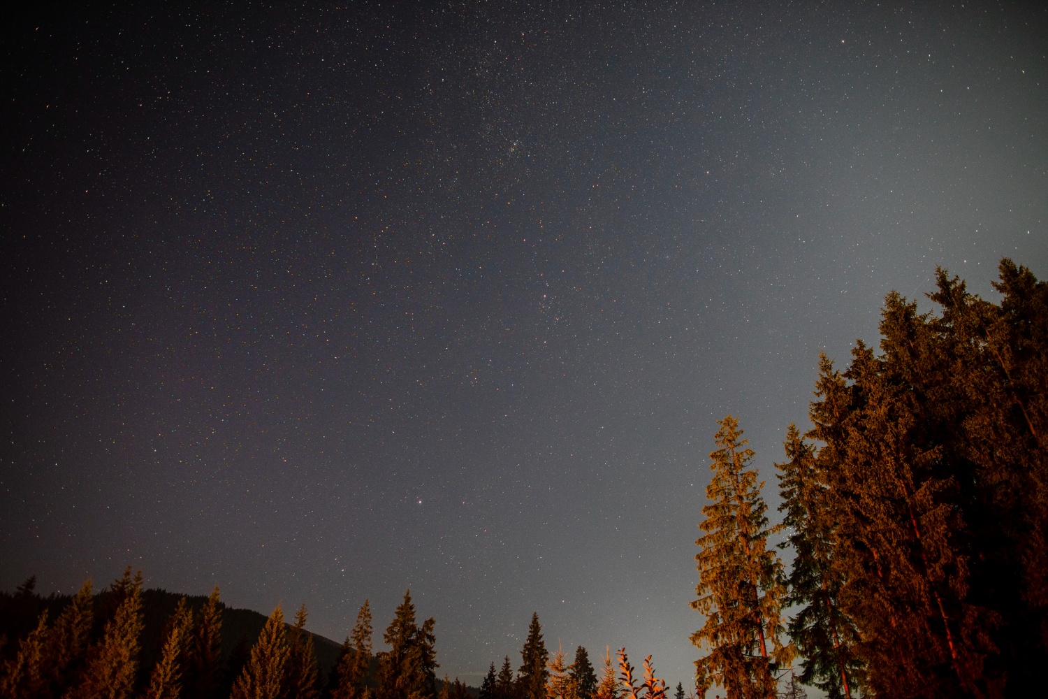 night sky stars