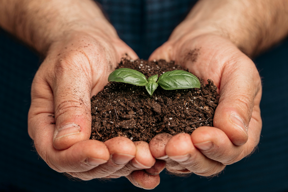 Soil