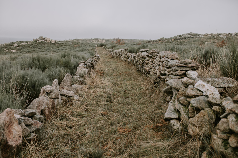 ancient track path