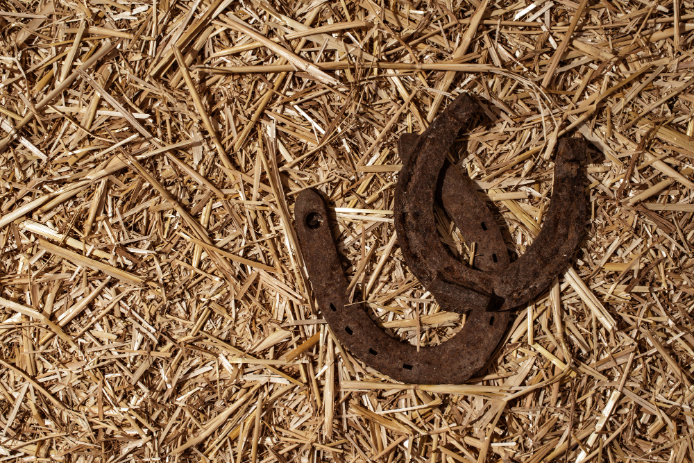 horseshoe
