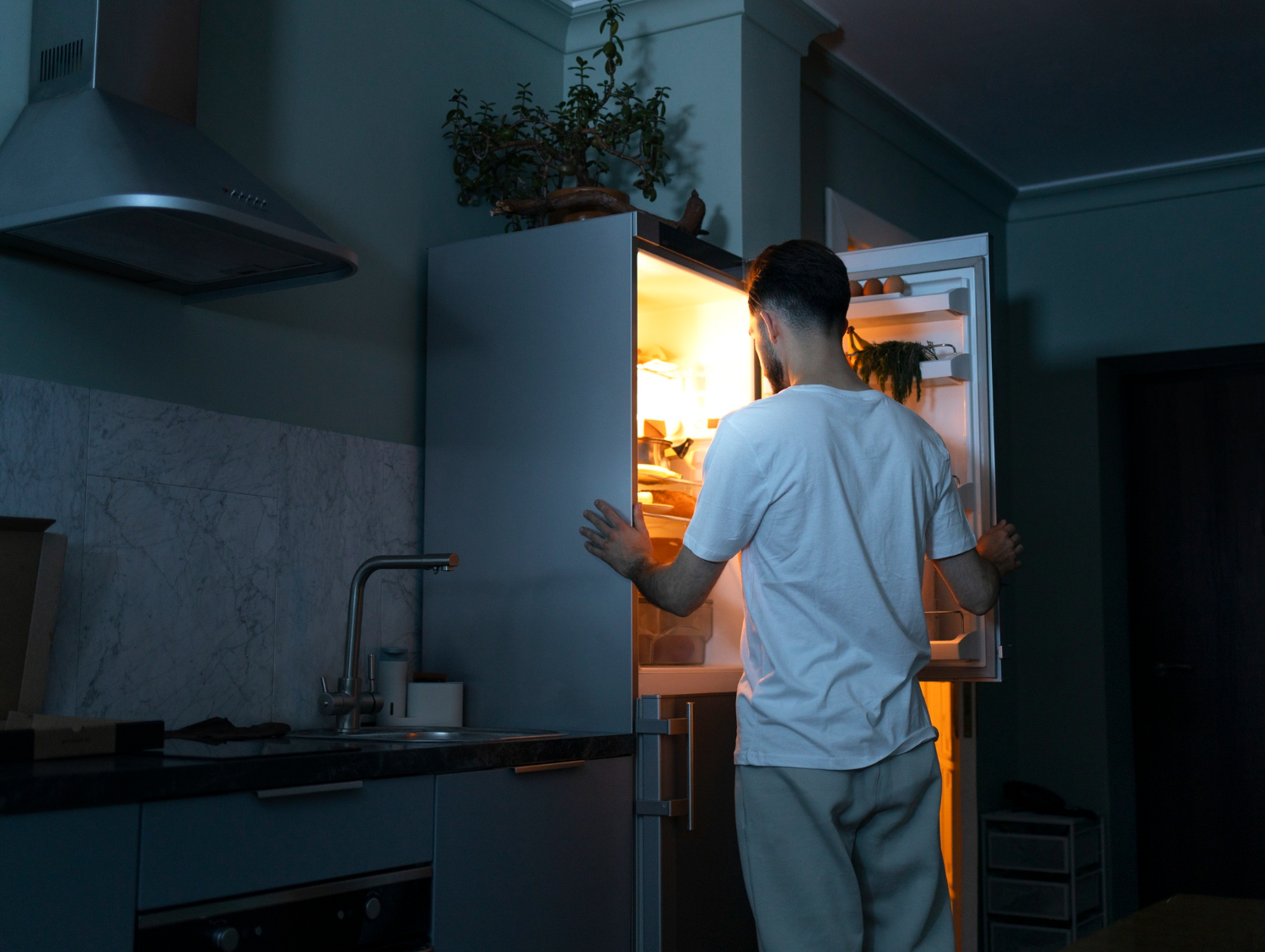 refrigerator