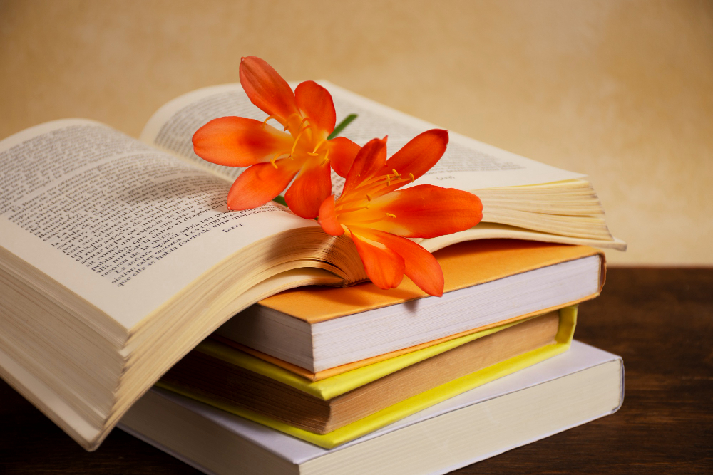 Book